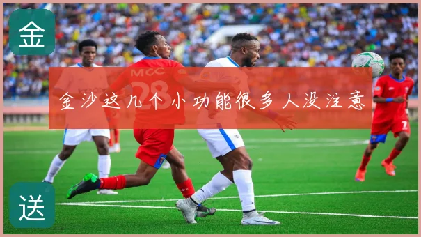 金沙这几个小功能很多人没注意